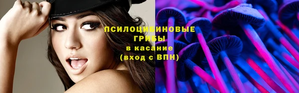 мяу мяу мука Баксан