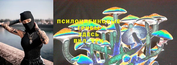 крисы Нея