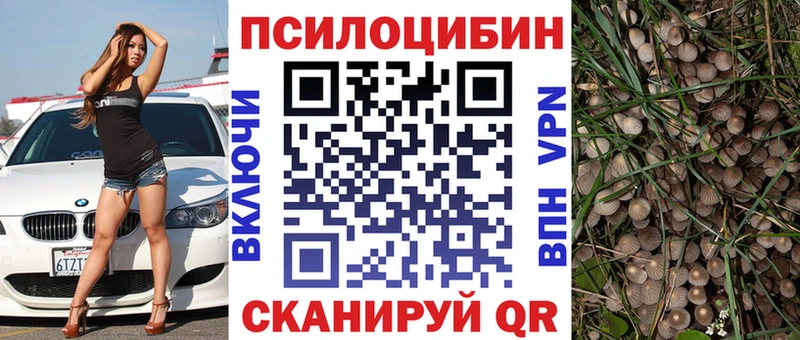 Псилоцибиновые грибы GOLDEN TEACHER  Чаплыгин 